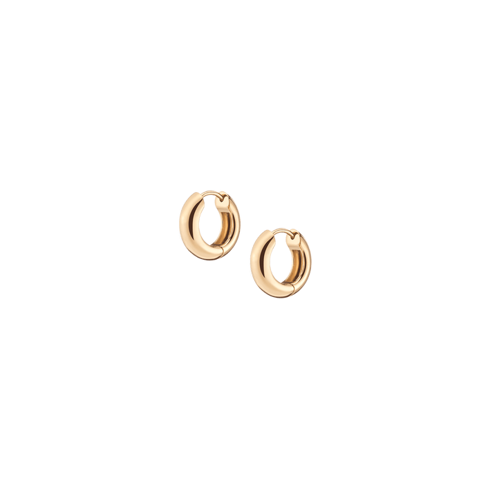 Small Chunky Hinged Hoop Earrings