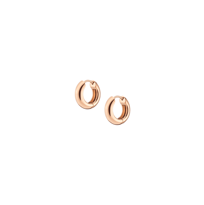 Small Chunky Hinged Hoop Earrings